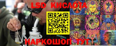 apvp Гусев