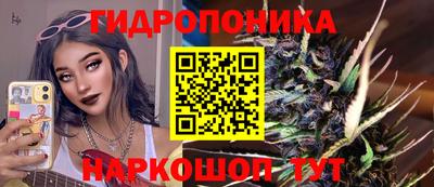 apvp Гусев