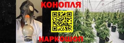 apvp Гусев