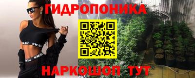 apvp Гусев