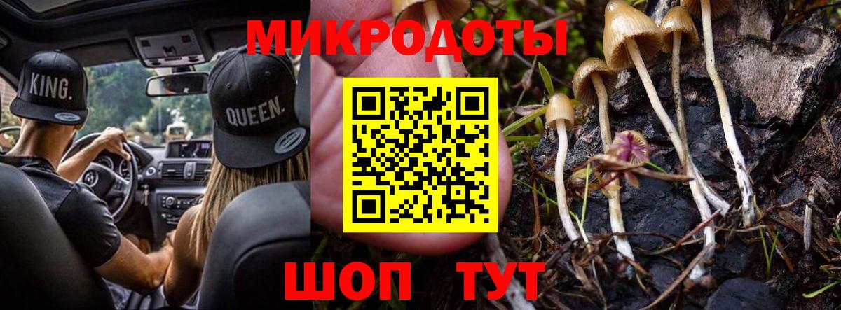 Псилоцибиновые грибы Cubensis  Вход с VPN  Киселёвск 